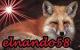 Avatar de elnando58