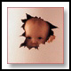 Avatar de Agusaurius