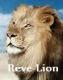 Avatar de Reve-Lion