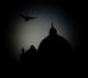Avatar de Lado Oscuro del Vaticano