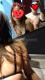 Avatar de BlueDesiree3
